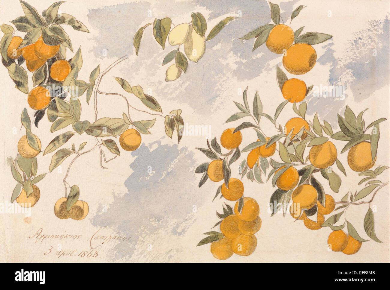 Obstbäume, 3. April 1863. Datum/Zeitraum: 1863. Immer noch leben. Aquarell mit Stift in brauner Tinte über Graphit auf mäßig dick, rau, Creme webte Papier. Höhe: 427 mm (16.81 in); Breite: 254 mm (10 in.). Autor: Edward Lear. Stockfoto