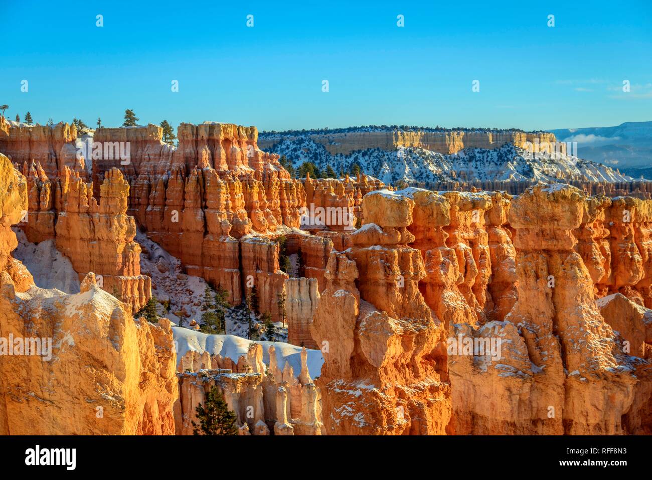 Bizarre Felsformationen, Morgenlicht, schneebedeckten Felslandschaft mit Hoodoos im Winter, Navajo Loop Trail Stockfoto