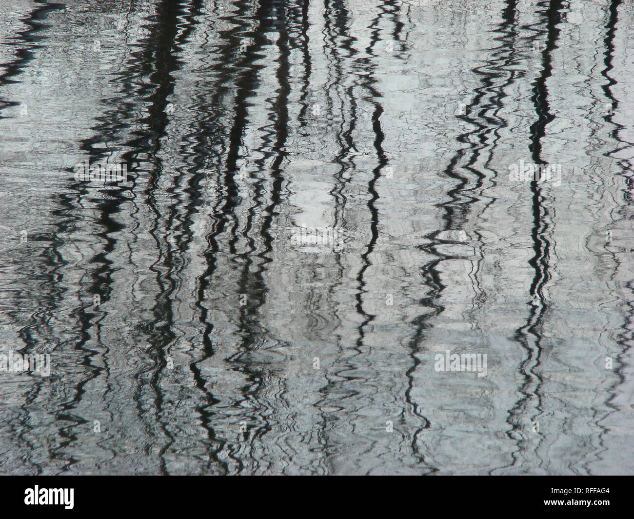 Spuren von Bäumen in klares Wasser. Wintertraum auf der Borcea arm. Stockfoto