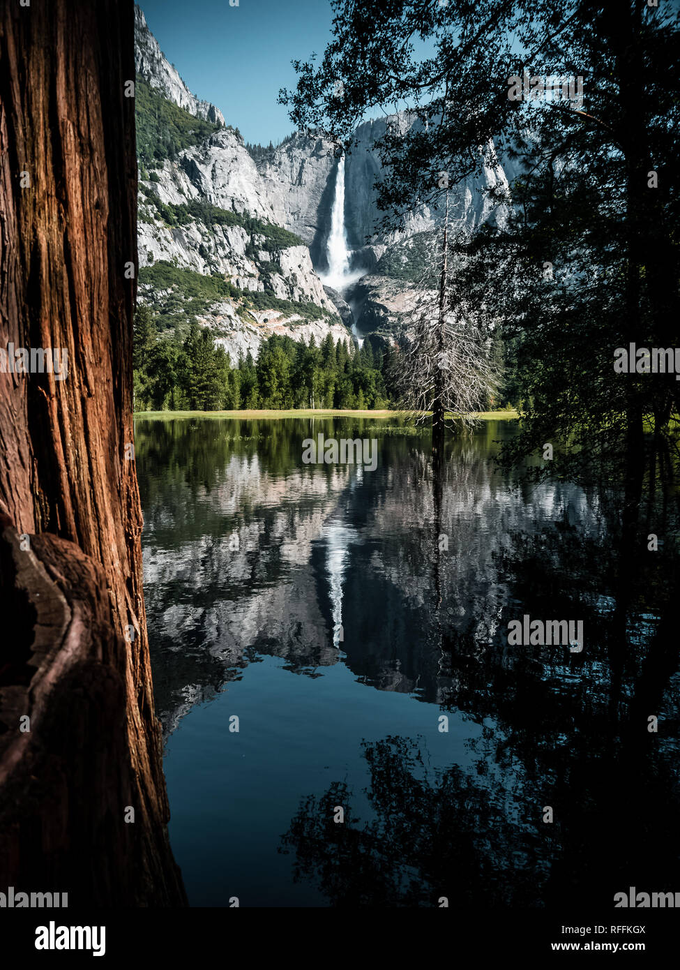 Yosemite Falls gehüllt in den Hintergrund auf einem strassenrand Trail, wenn das Wasser perfekt waren noch Stockfoto