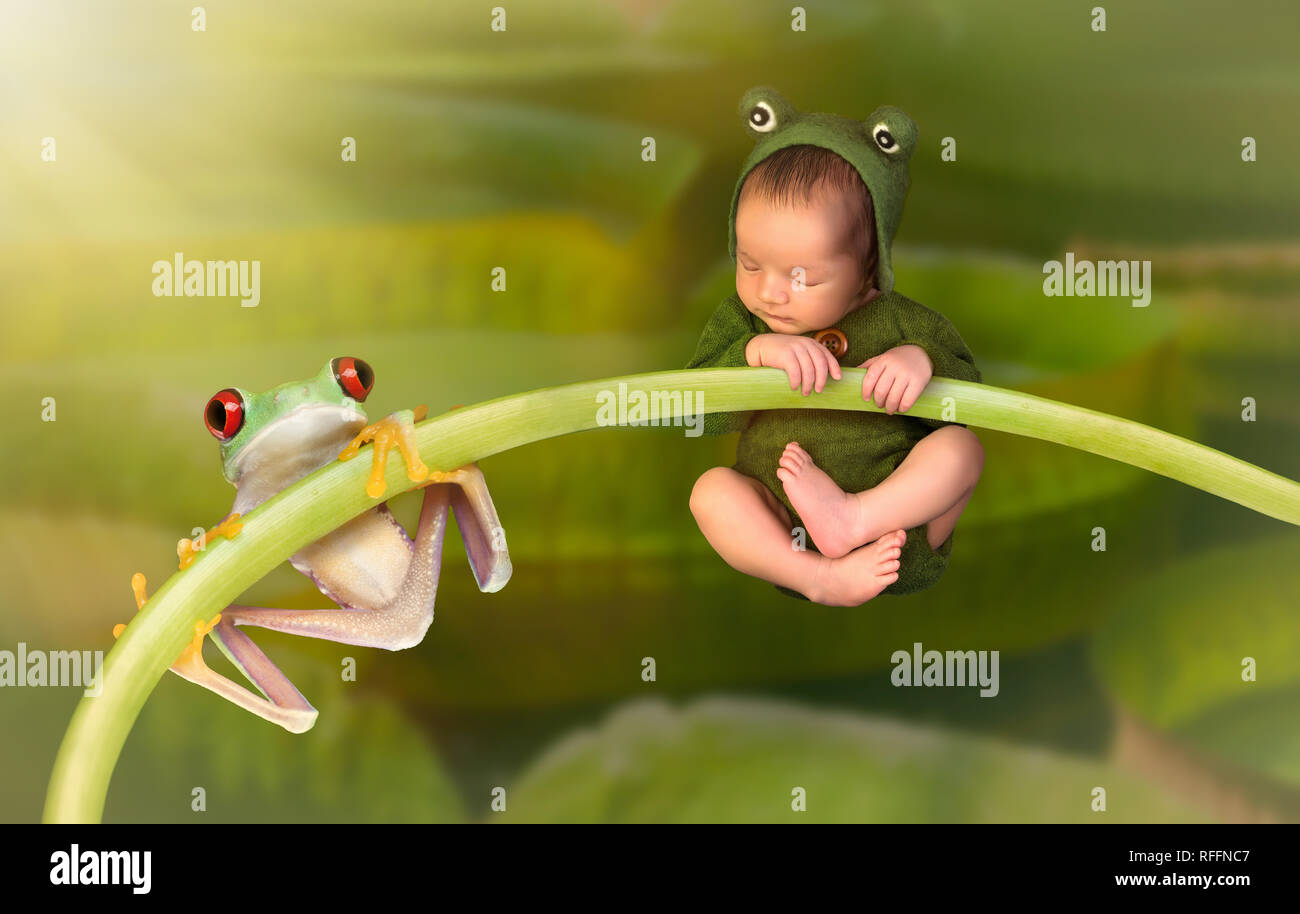 7 Tage alten kleinen neugeborenen Baby gekleidet wie ein grüner Baum Frosch auf einem Zweig zusammen hängen mit einem echten Red Eyed Tree Frog Stockfoto