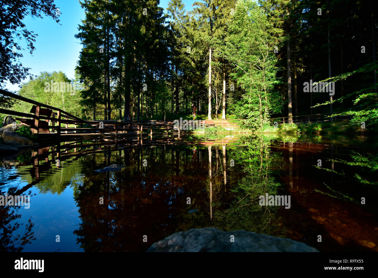 Nixenweiher, Ortel Marsh, Rheinland-Pfalz, Hunsrück, Deutschland Stockfoto