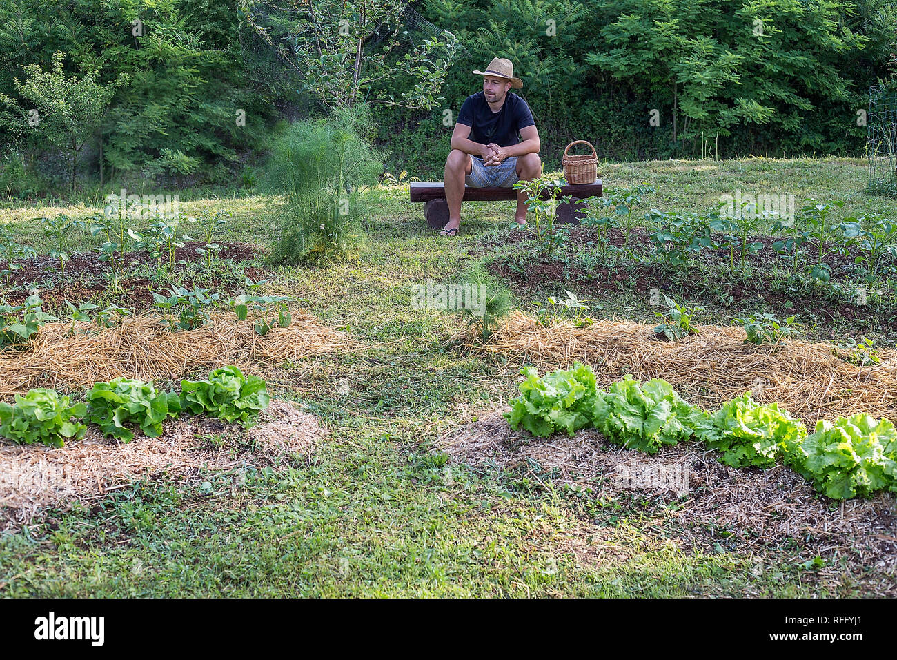 Junger Mann mit Hut in einem Heim aufgewachsen Gemüsegarten Arbeiten Stockfoto