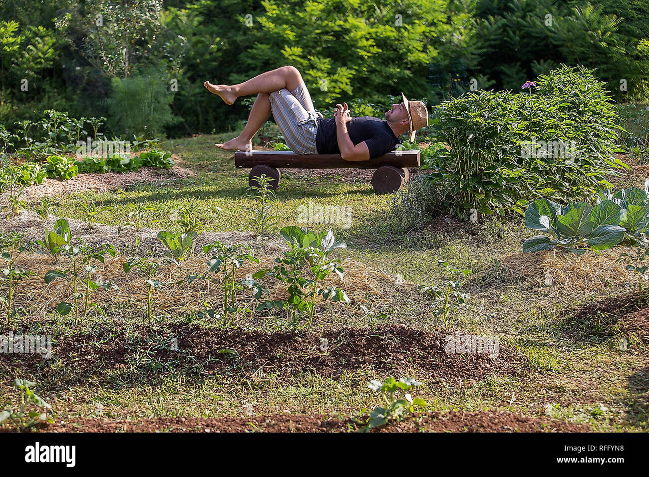 Junger Mann mit Hut entspannen in einem Heim aufgewachsen Gemüsegarten Stockfoto