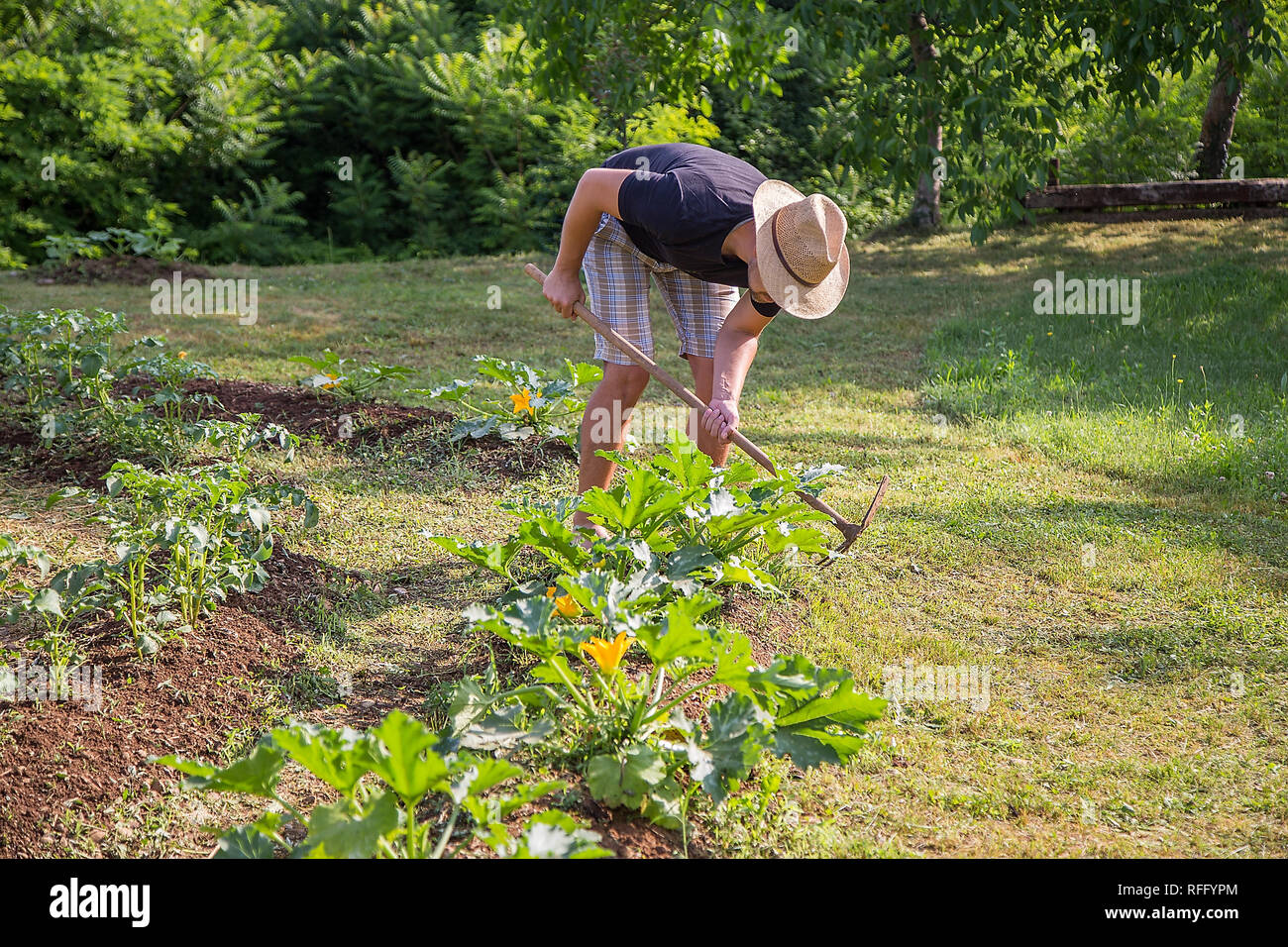 Junger Mann mit Hut in einem Heim aufgewachsen Gemüsegarten Arbeiten Stockfoto