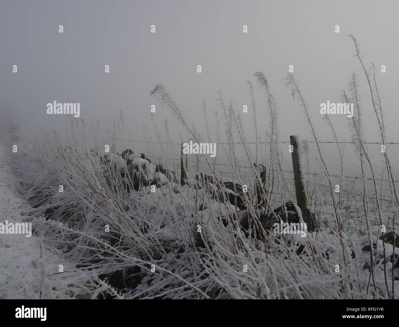 Snowy, neblig Weiß über Szene. Staffordshire Moorlands, Großbritannien Stockfoto