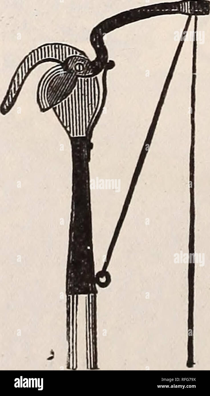 . Michell's Großhandel Preis Liste der Samen, Zwiebeln, Pflanzen, Geräte, Düngemittel, &Amp; c. &Amp; c. Baumschulen Pennsylvania Philadelphia Kataloge; Pflanzen, Zierpflanzen Kataloge; Blumen Samen Samen Kataloge Kataloge; Gemüse; Glühlampen (Pflanzen) Kataloge; Gartengeräte und Zubehör Kataloge. Topf Labels, bemalt. Pro 6 8 10 12 Zoll | i-25 2,50 350 4-50 (unbemalt). . . $ 090 pro 1000 S} 4 Zoll | o 6 o4" 65 4 K "70 5" '90 Baum Labels eingekerbt. Bügeleisen verdrahtet" " " Kupfer verdrahtet. (Unbemalt). Ich. oo Dauerhaft oder Dauerhafte hängenden Etiketten. Die besten und Langlebigsten gemacht Stockfoto