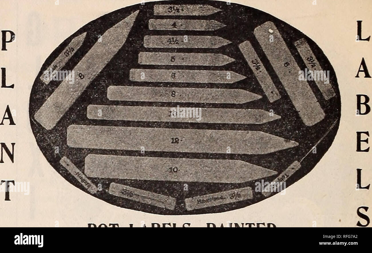 . Michell's Großhandel Preis Liste der Samen, Zwiebeln, Pflanzen, Geräte, Düngemittel, &Amp; c. &Amp; c. Baumschulen Pennsylvania Philadelphia Kataloge; Pflanzen, Zierpflanzen Kataloge; Blumen Samen Samen Kataloge Kataloge; Gemüse; Glühlampen (Pflanzen) Kataloge; Gartengeräte und Zubehör Kataloge. Topf Labels, bemalt. Pro 6 8 10 12 Zoll | i-25 2,50 350 4-50 (unbemalt). . . $ 090 pro 1000 S} 4 Zoll | o 6 o4" 65 4 K "70 5" '90 Baum Labels eingekerbt. Bügeleisen verdrahtet" " " Kupfer verdrahtet. (Unbemalt). Ich. oo Dauerhaft oder Dauerhafte hängenden Etiketten. Die besten und Langlebigsten gemacht Stockfoto