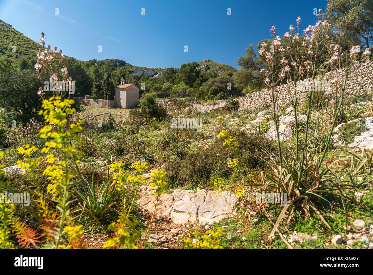 Garten der Ermita de Betlem bei Arta, Mallorca, Balearen, Spanien | Ermita de Betlem Garten in der Nähe von Arta, Mallorca, Balearen, Spanien, Stockfoto