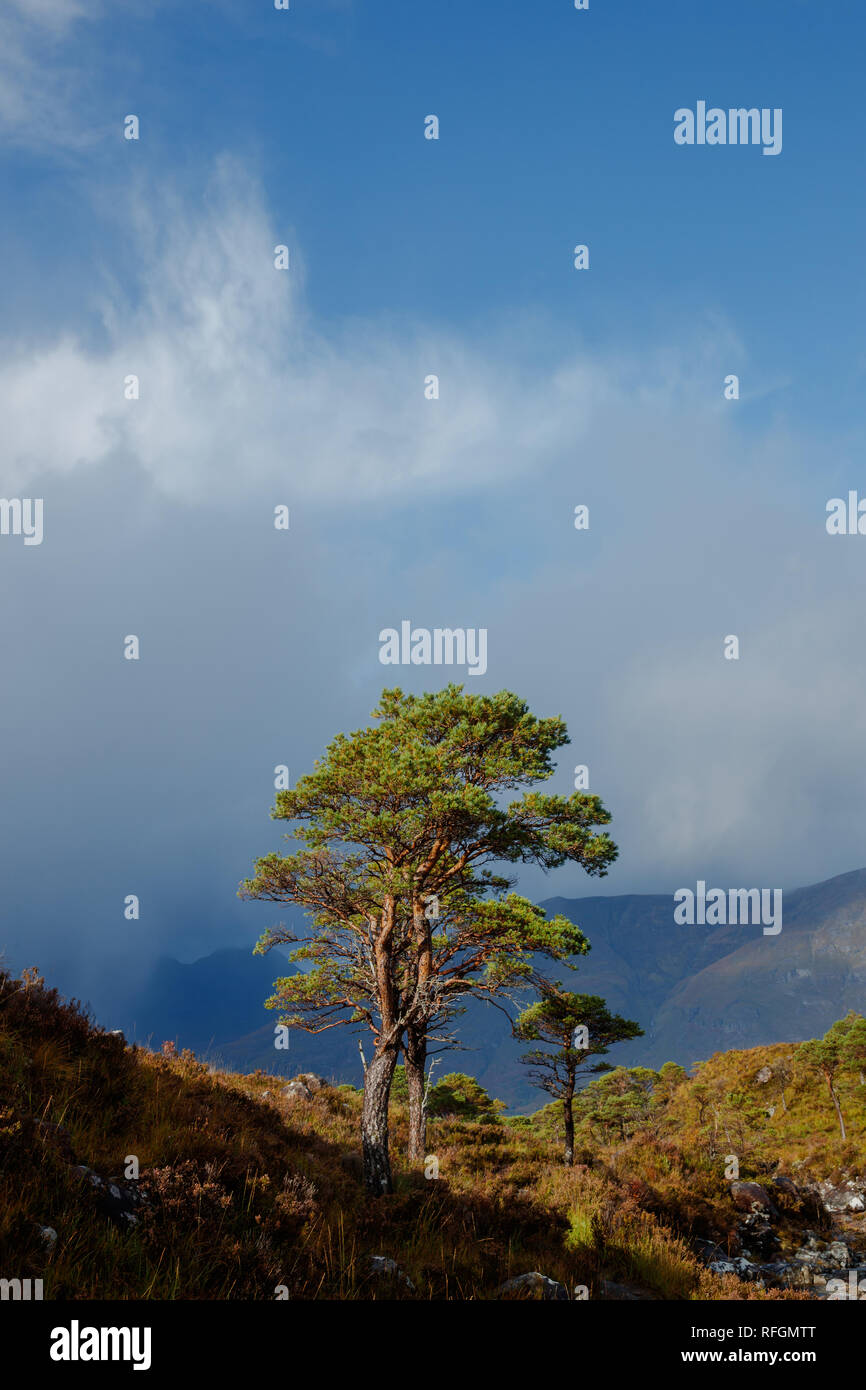 Die Allt Bottighofen Rooill River in der nähe von Torridon Stockfoto