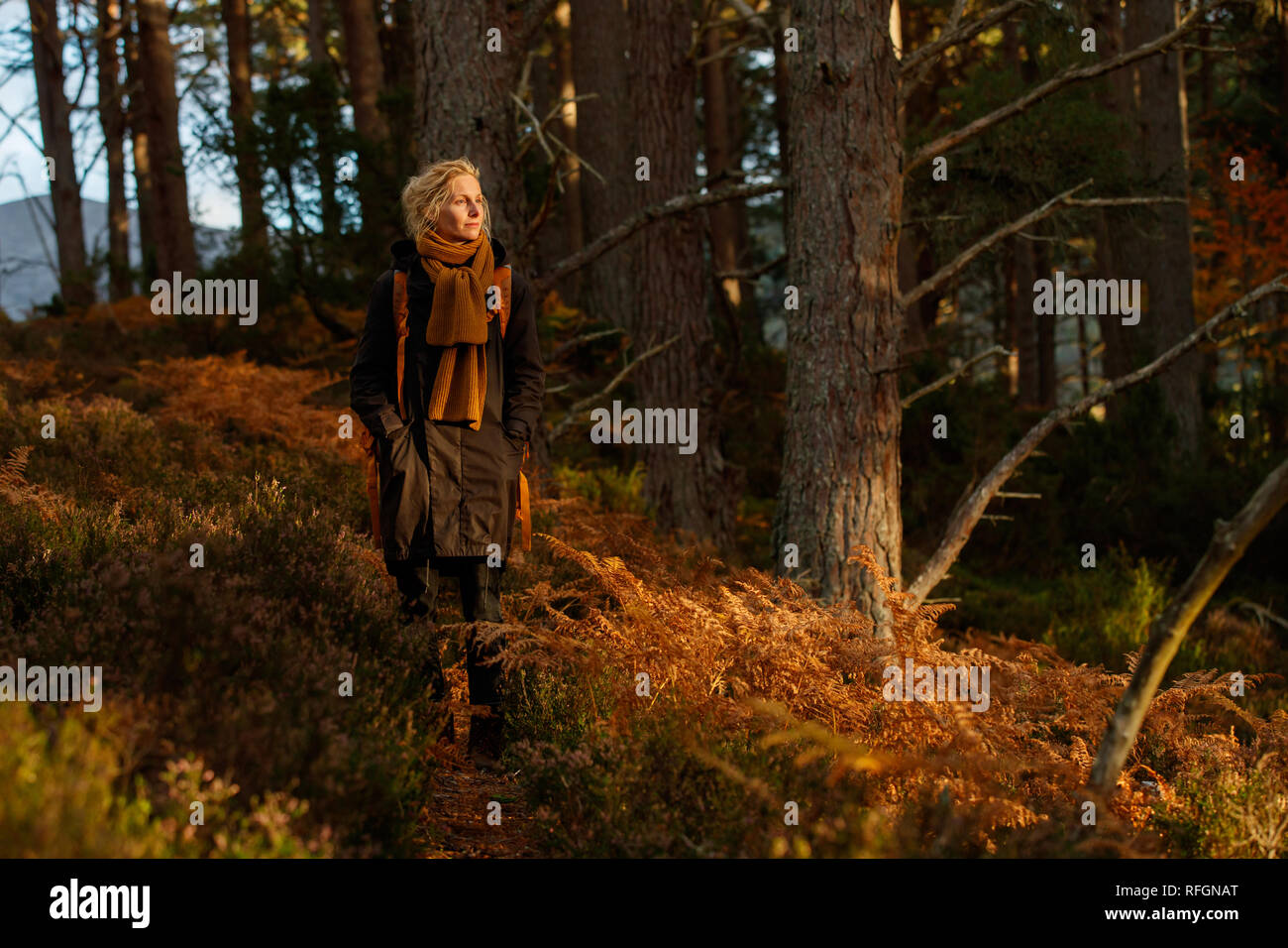 Eine Frau, die zu Fuß in einem Wald mit vielen orange Farne Stockfoto
