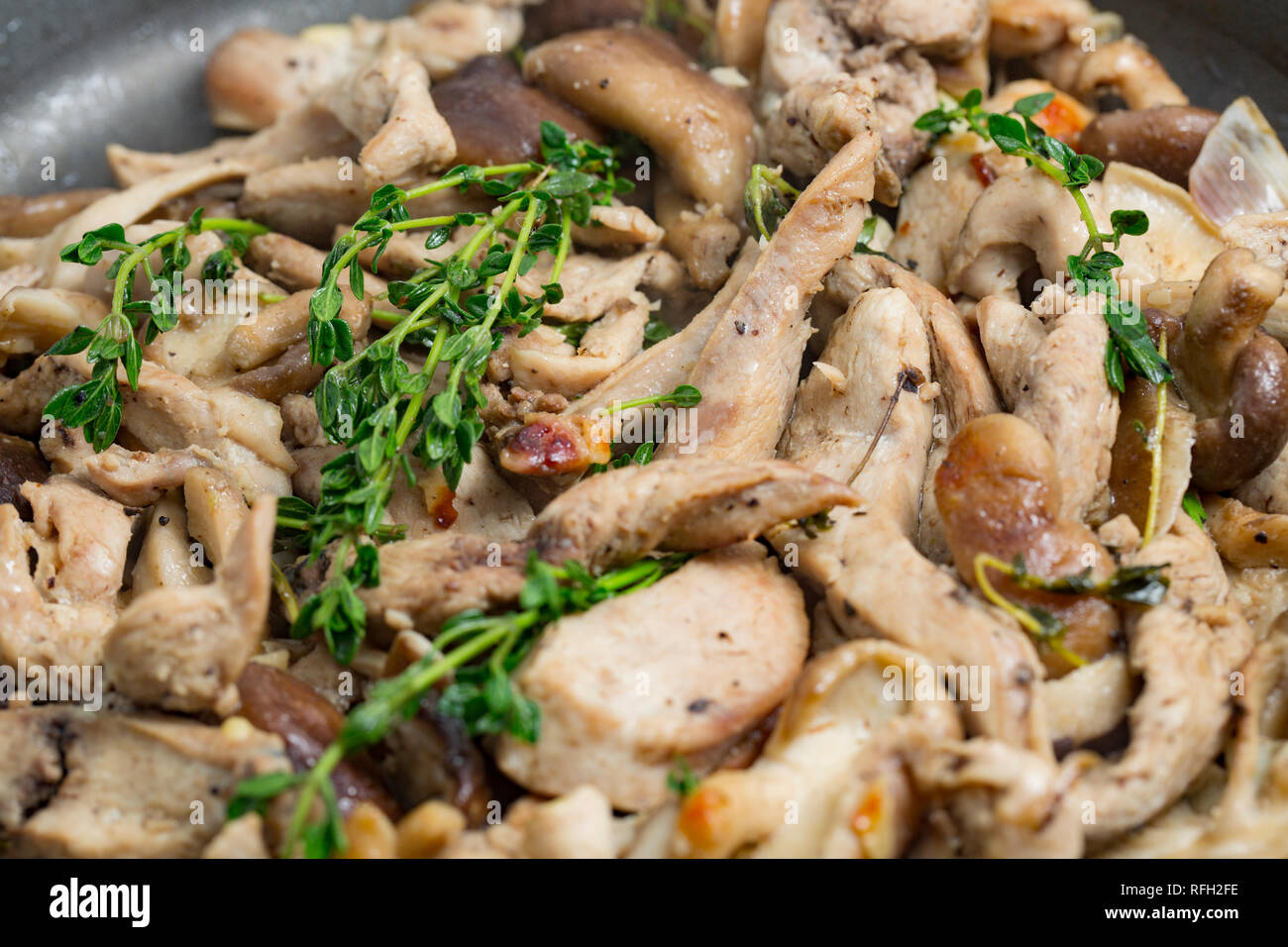 Fasan thymian -Fotos und -Bildmaterial in hoher Auflösung – Alamy