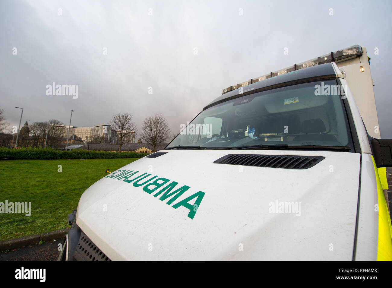 Glasgow, Schottland, Großbritannien. 25. Januar 2019. Verschiedene Szenen mit verschiedenen Ansichten um von der Queen Elizabeth University Hospital. Es wurden 2 Patienten Todesfälle berichtete vor kurzem, die es geglaubt wird, sind Infektionen durch Taubenkot vertraglich verbunden. Credit: Colin Fisher/Alamy leben Nachrichten Stockfoto