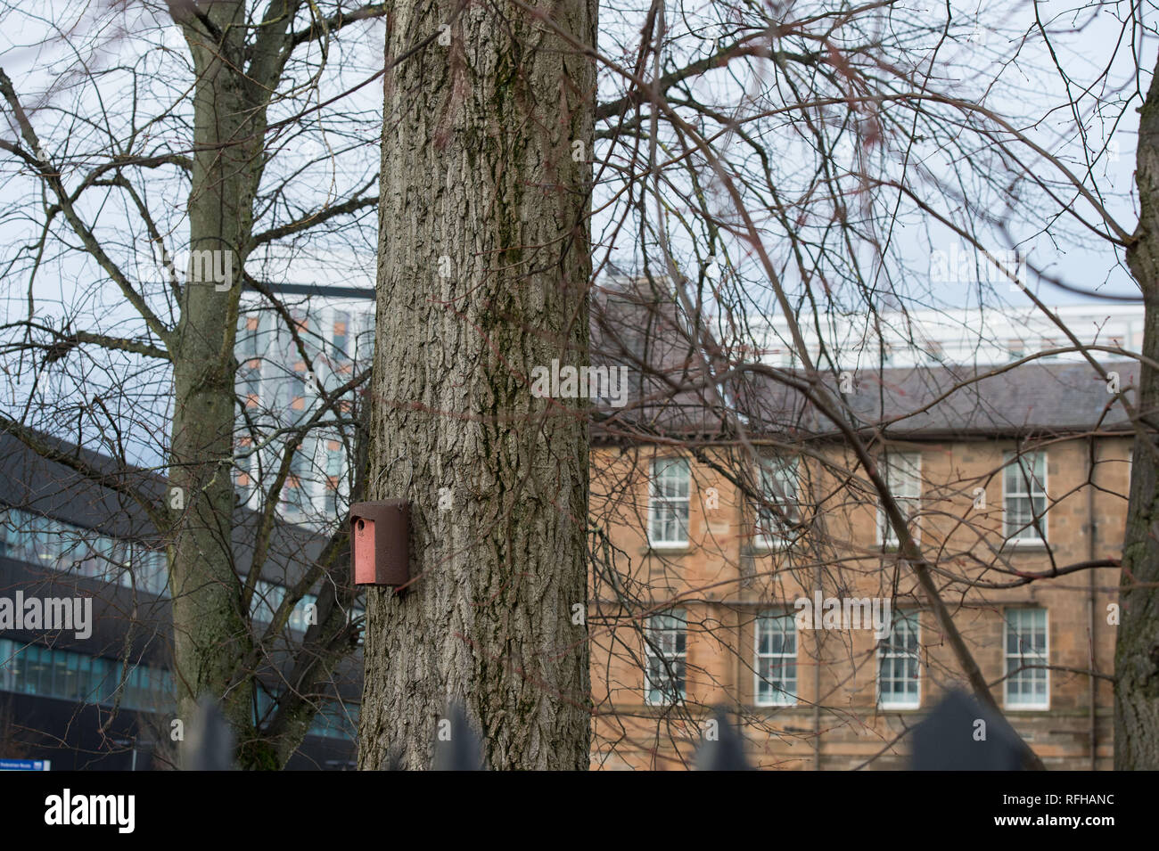 Glasgow, Schottland, Großbritannien. 25. Januar 2019. Verschiedene Szenen mit verschiedenen Ansichten um von der Queen Elizabeth University Hospital. Es wurden 2 Patienten Todesfälle berichtete vor kurzem, die es geglaubt wird, sind Infektionen durch Taubenkot vertraglich verbunden. Credit: Colin Fisher/Alamy leben Nachrichten Stockfoto