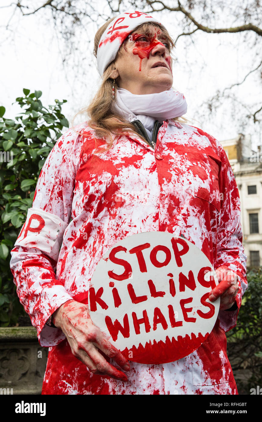 London, Großbritannien. 26. Januar, 2019. Ein Tier Menschenrechtler getüncht mit roter Farbe bereitet Teil in Japan zu nehmen: Kein Walfang März von Cavendish Square an der Japanischen Botschaft von Japan Ankündigung, ziehen Sie sie von der Internationalen Walfangkommission (IWC) und wieder auf den kommerziellen Walfang mit Wirkung vom Juli 2019. Im März wurde von der Londoner Komitee für die Abschaffung des Walfangs organisiert. Credit: Mark Kerrison/Alamy leben Nachrichten Stockfoto
