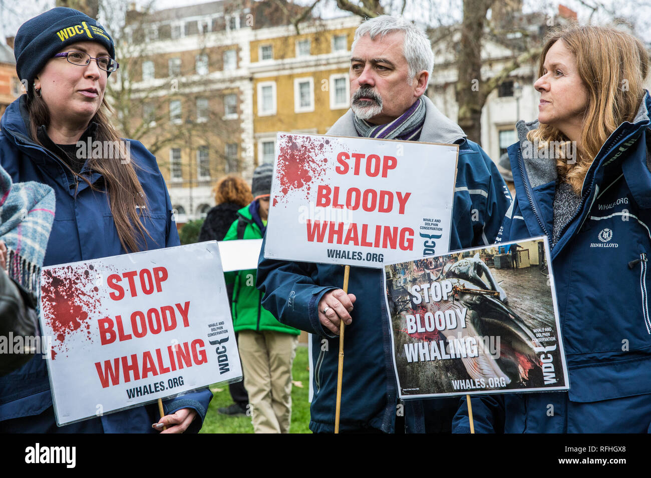 London, Großbritannien. 26. Januar, 2019. Die Rechte der Tiere Tierschützer vorbereiten Teil in Japan zu nehmen: Kein Walfang März von Cavendish Square an der Japanischen Botschaft von Japan Ankündigung, ziehen Sie sie von der Internationalen Walfangkommission (IWC) und wieder auf den kommerziellen Walfang mit Wirkung vom Juli 2019. Im März wurde von der Londoner Komitee für die Abschaffung des Walfangs organisiert. Credit: Mark Kerrison/Alamy leben Nachrichten Stockfoto