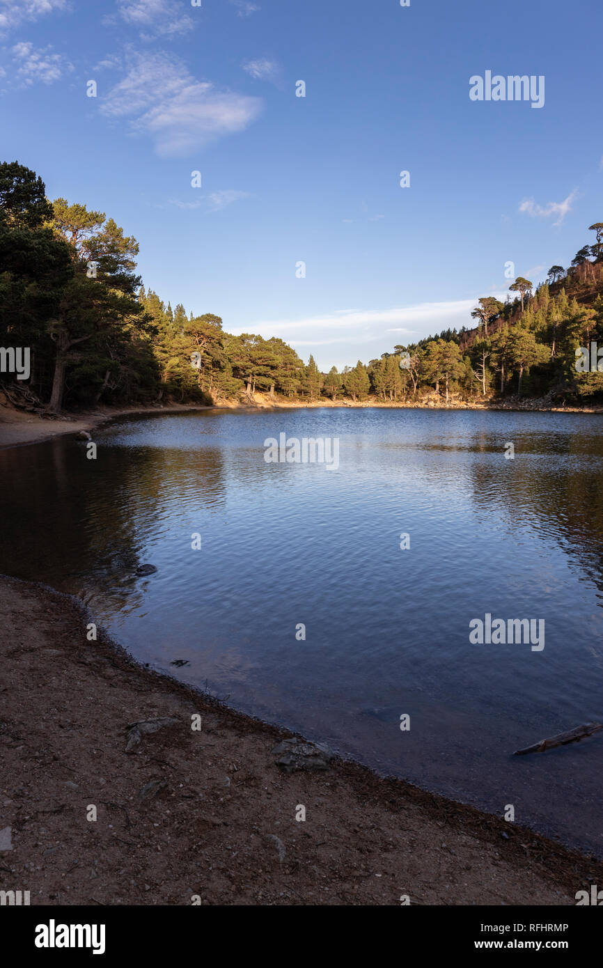 Lochan Uaine auf der Ryvoan Pass am Glen Mehr im Cairngorms Nationalpark von Schottland. Stockfoto