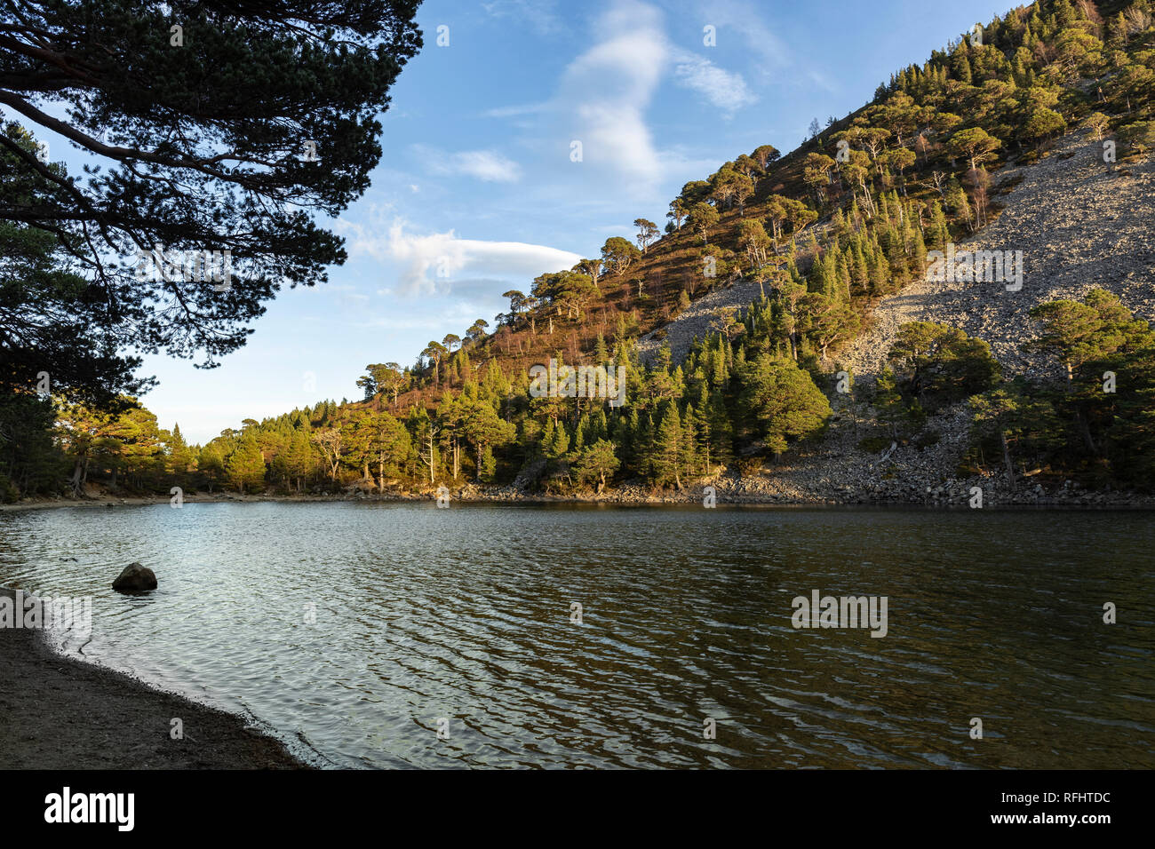 Lochan Uaine auf der Ryvoan Pass am Glen Mehr im Cairngorms Nationalpark von Schottland. Stockfoto