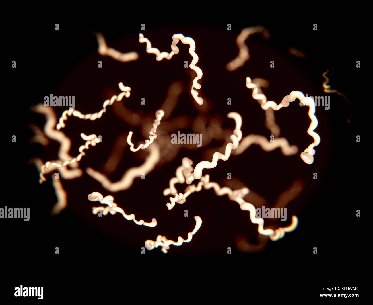 Borrelia bakterielle Infektion im Blut, Illustration. Diese Bakterien sind Pathogene, wodurch Krankheiten beim Menschen und bei Tieren. Sie sind durch Arthropoden wie Zecken übertragen. Lyme Krankheit und Schubförmig-Fieber sind zwei Krankheiten, die durch Borrelien verursacht werden. Die Bakterien sind lang, wickeln Seil-ähnlichen Strukturen. Stockfoto