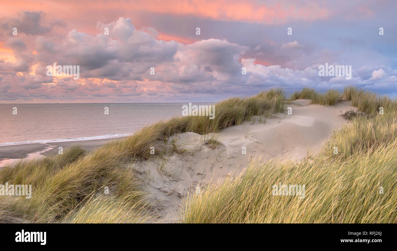 Blick auf den Sonnenuntergang von der Düne auf Nordsee und Kanal in Zeeland, Niederlande Stockfoto