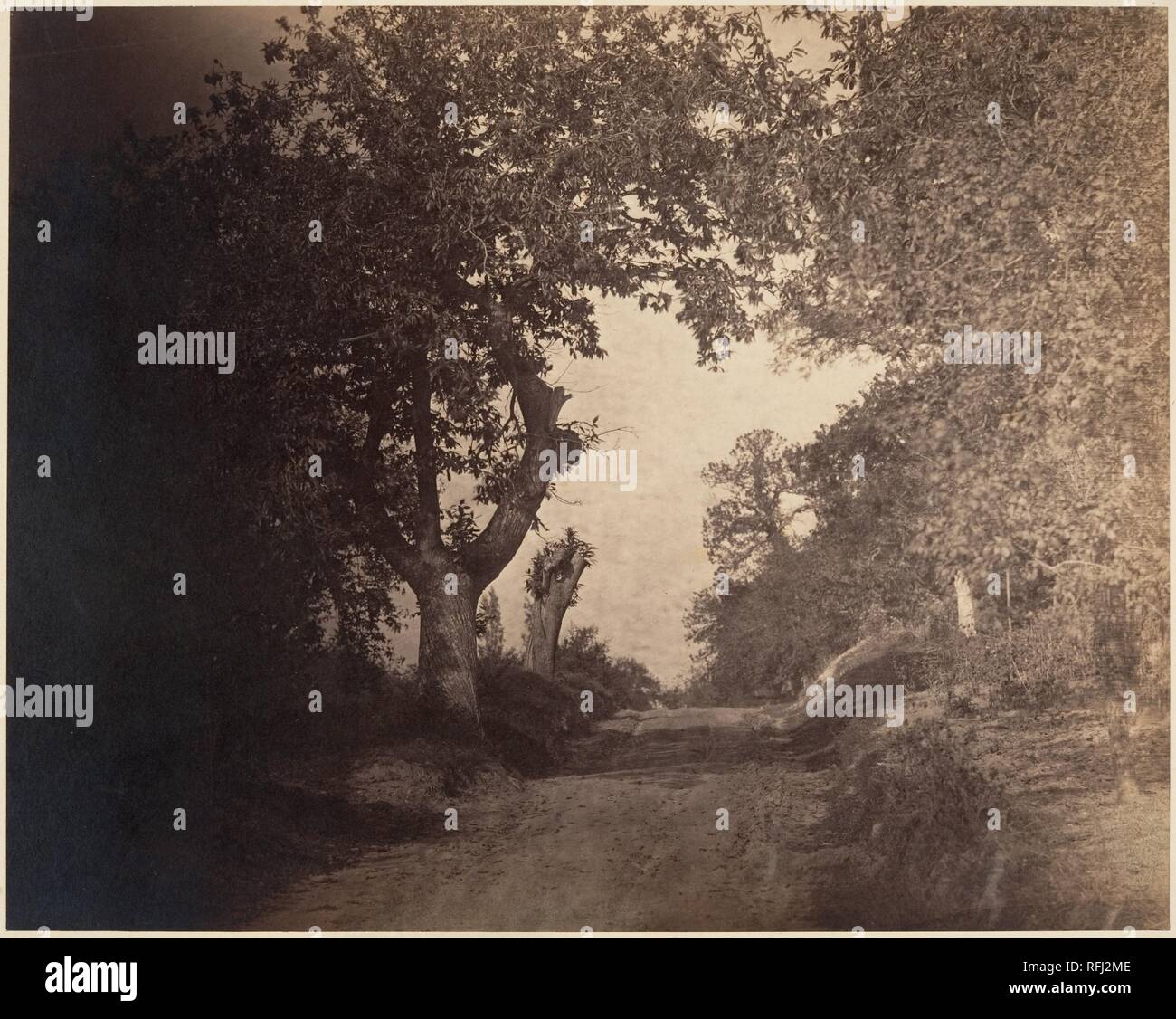 Fontainebleau, Chemin sablonneux Montant. Artist: Gustave Le Gray (Französisch, 1820-1884). Abmessungen: Bild: 29,9 x 37,7 cm (11 3/4 x 14 13/16 in.) anbringen: 53,3 x 63,8 cm (21 x 25 1/8 in.). Datum: Ca. 1856. Le Gray zurück in den Wald von Fontainebleau in der Mitte der 1850er mit einer grösseren Kamera und glasnegative. Im Gegensatz zu den flackernden Abstraktion seiner früheren Ansicht (Nr. 62), dieses Bild übersetzt die Erfahrungen der Bewegung durch den Wald in einer Kühn orchestrierte Komposition. Nach dem sandigen Weg gerade zurück von der Bildebene, den Viewer schreitet von undurchdringlichen Schatten Stockfoto