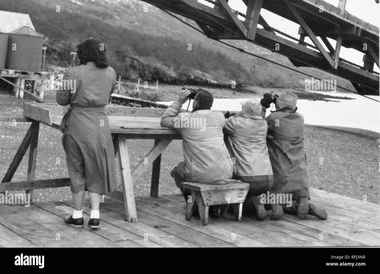 Schwarz-weiß Foto einer Frau und drei Männern, Schuß von hinten; die Frau trägt ein Tee - Länge Kleid oder Rock und Söckchen, und steht nur der Männer, die Mäntel und Schuhe tragen, und durch ein Fernglas schauen, während Sitzen und Knien auf einem wackeligen Holztisch am Rande einer Pier gebaut; mit einer Steigung, freiliegenden Shoreline, einem Körper von Wasser, und eine weitere Pier im Hintergrund sichtbar, und ein landesteg sichtbar in der oberen rechten; während einer Jagd und Angeln in Alaska, 1955 entfernt fotografiert. () Stockfoto