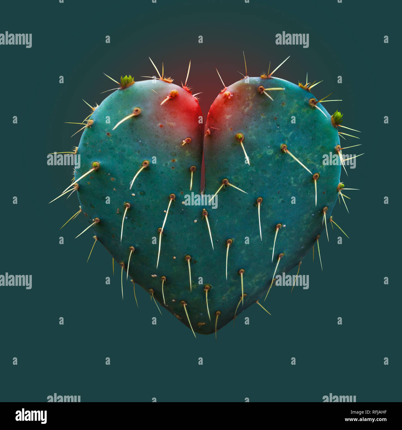 Cactus Blatt in der Form eines Herzens - Symbol der Liebe - Hoffnung - Begriff Stockfoto