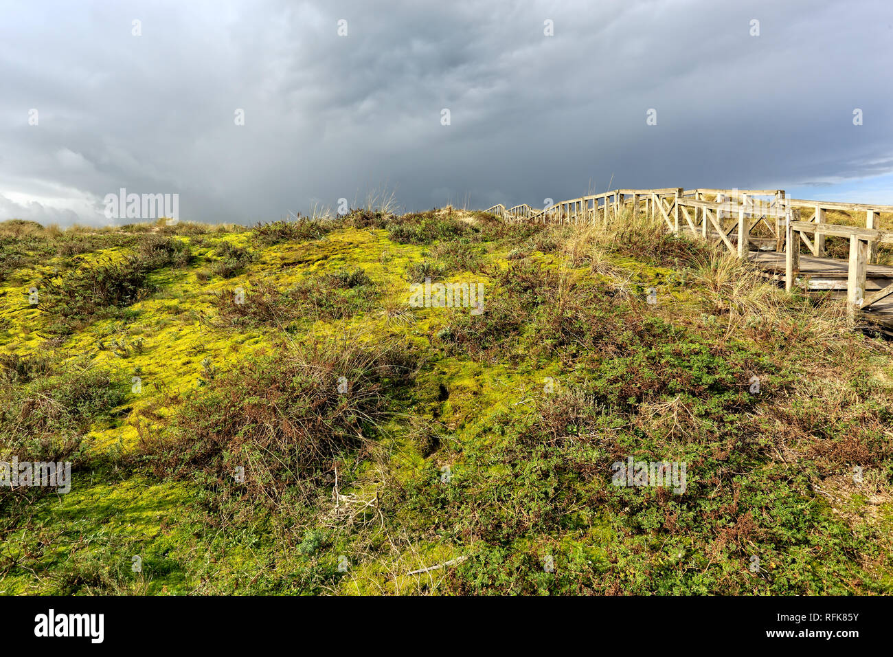 Küste Dünen mit Holzsteg, nördlich von Portugal Stockfoto