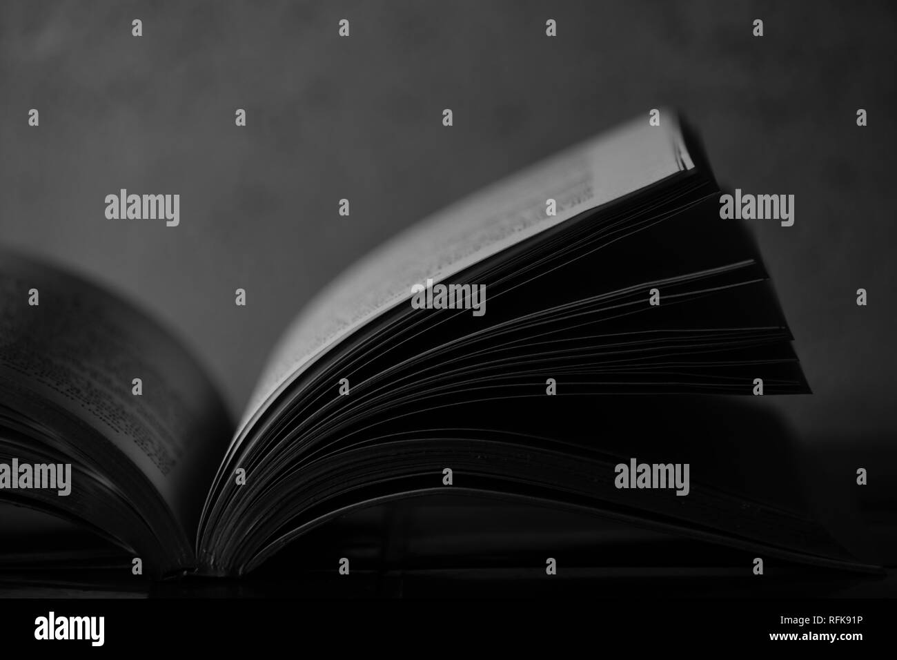 Detailansicht von Seiten eines Buches Stockfoto