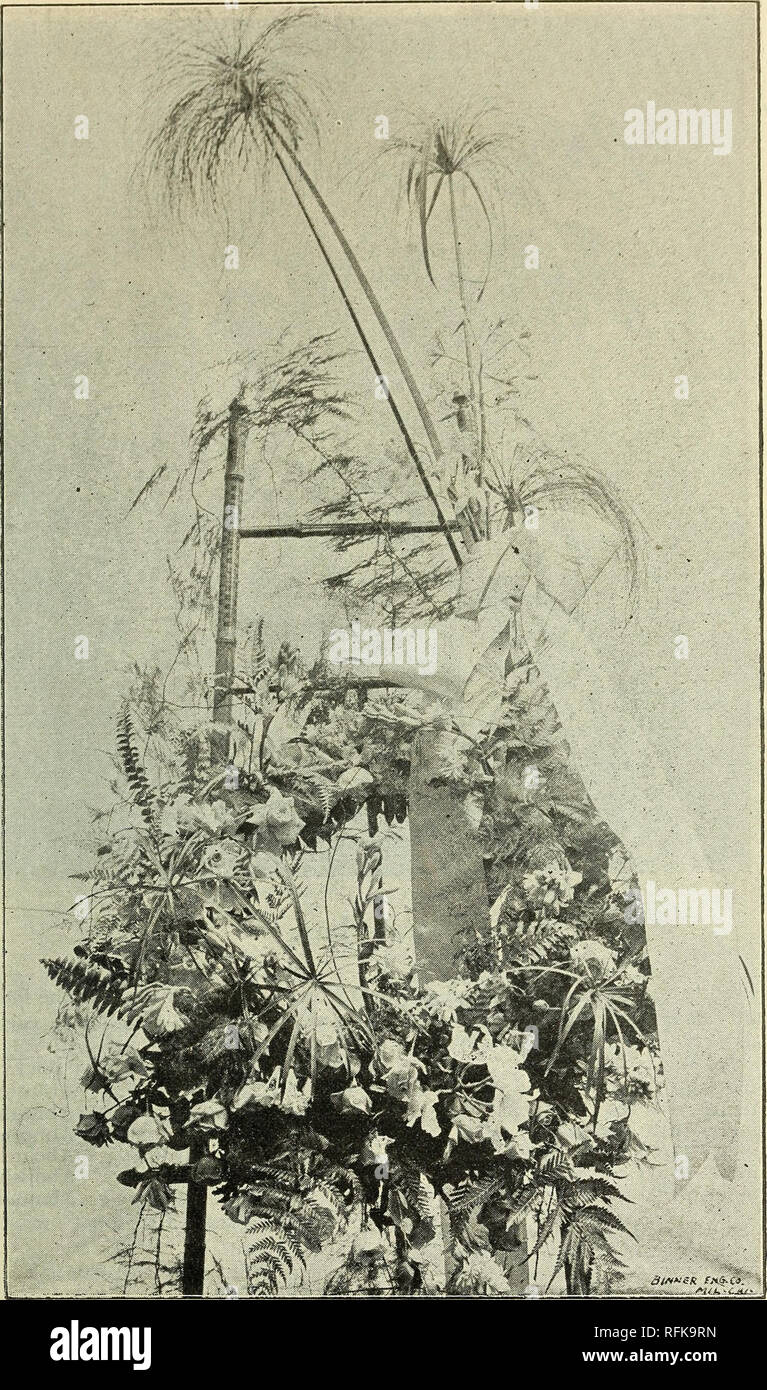 Blumenschmuck findet Alphabet-Datierung