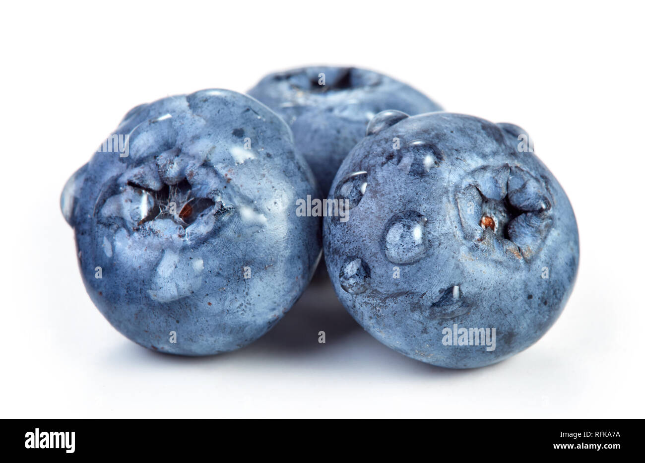 Haufen der Blaubeere Früchte auf weißem Hintergrund Stockfoto
