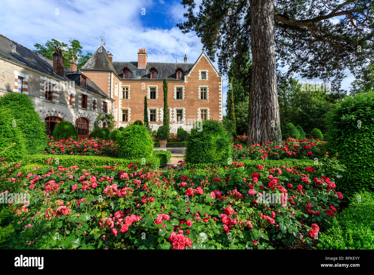 Frankreich, Indre et Loire, Amboise, das Clos Luce Schloss und Garten mit Mona Lisa Rosen // Frankreich, Indre-et-Loire (37), Amboise, Jardin et Château de Cl Stockfoto