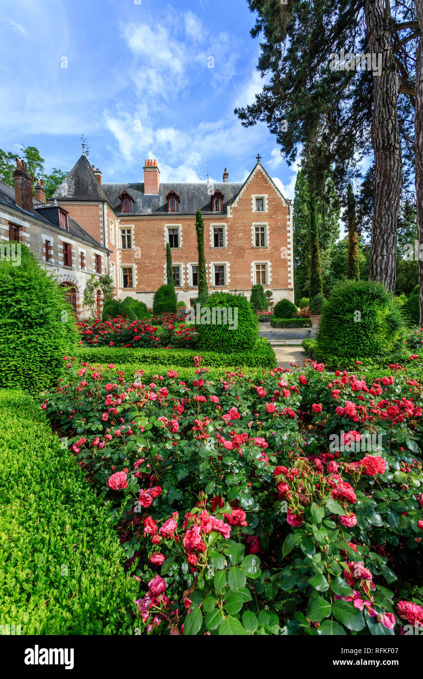 Frankreich, Indre et Loire, Amboise, das Clos Luce Schloss und Garten mit Mona Lisa Rosen // Frankreich, Indre-et-Loire (37), Amboise, Jardin et Château de Cl Stockfoto