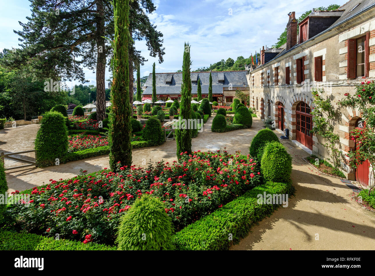 Frankreich, Indre et Loire, Amboise, das Clos Luce Schloss und Garten mit Mona Lisa Rosen // Frankreich, Indre-et-Loire (37), Amboise, Jardin et Château de Cl Stockfoto