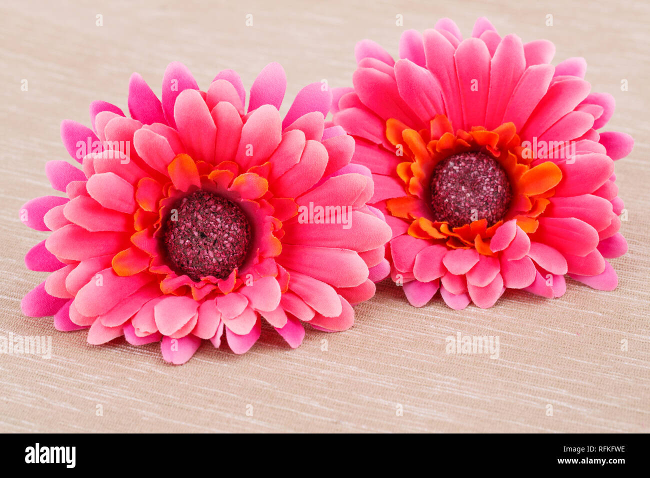 Rosa Stoff Gänseblümchen auf beigem Hintergrund Tuch. Stockfoto