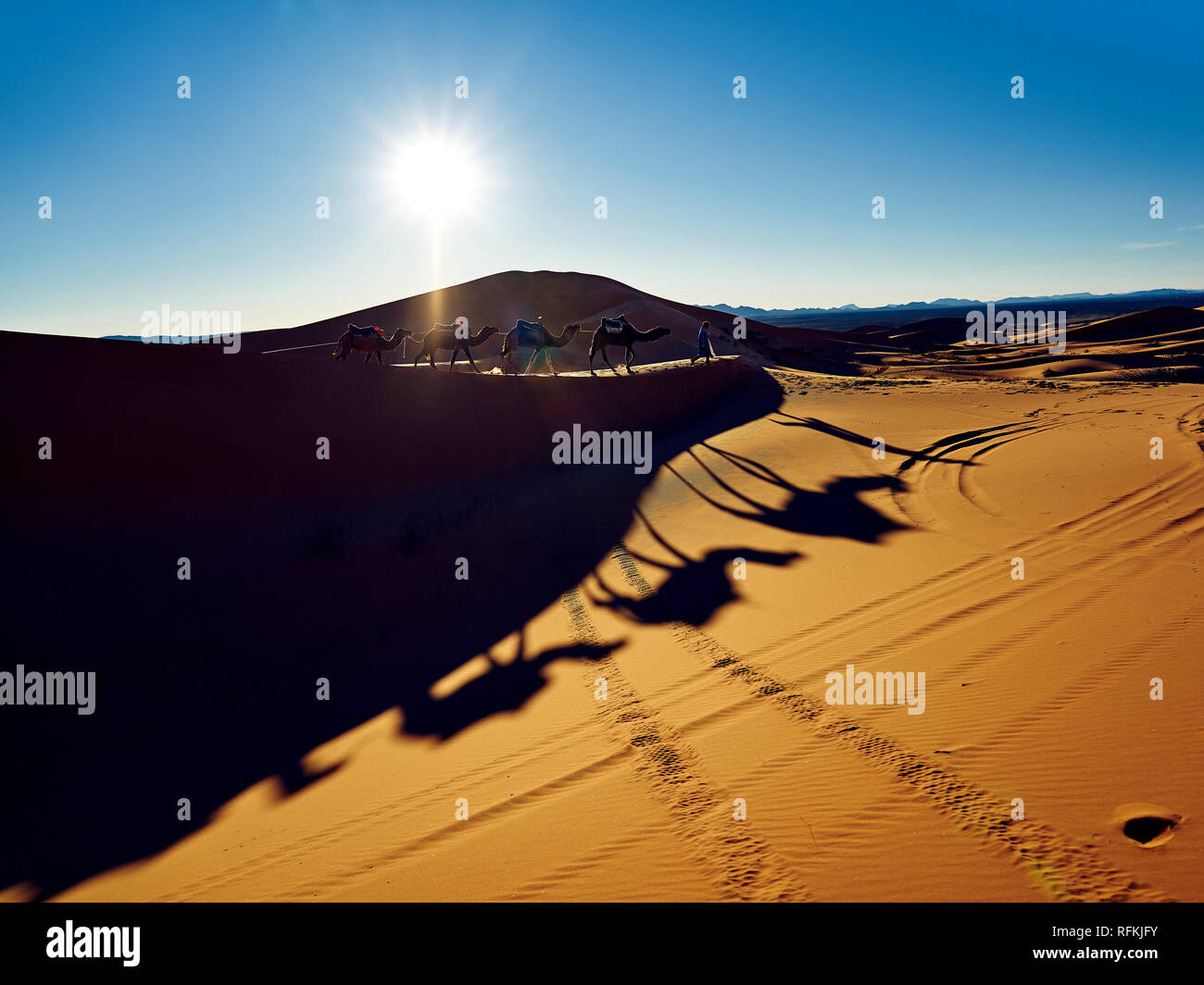 Kamelkarawane und Schatten in der Wüste Erg Chebbi, in der Nähe der Stadt Merzouga, Wüste Sahara, Marokko Stockfoto