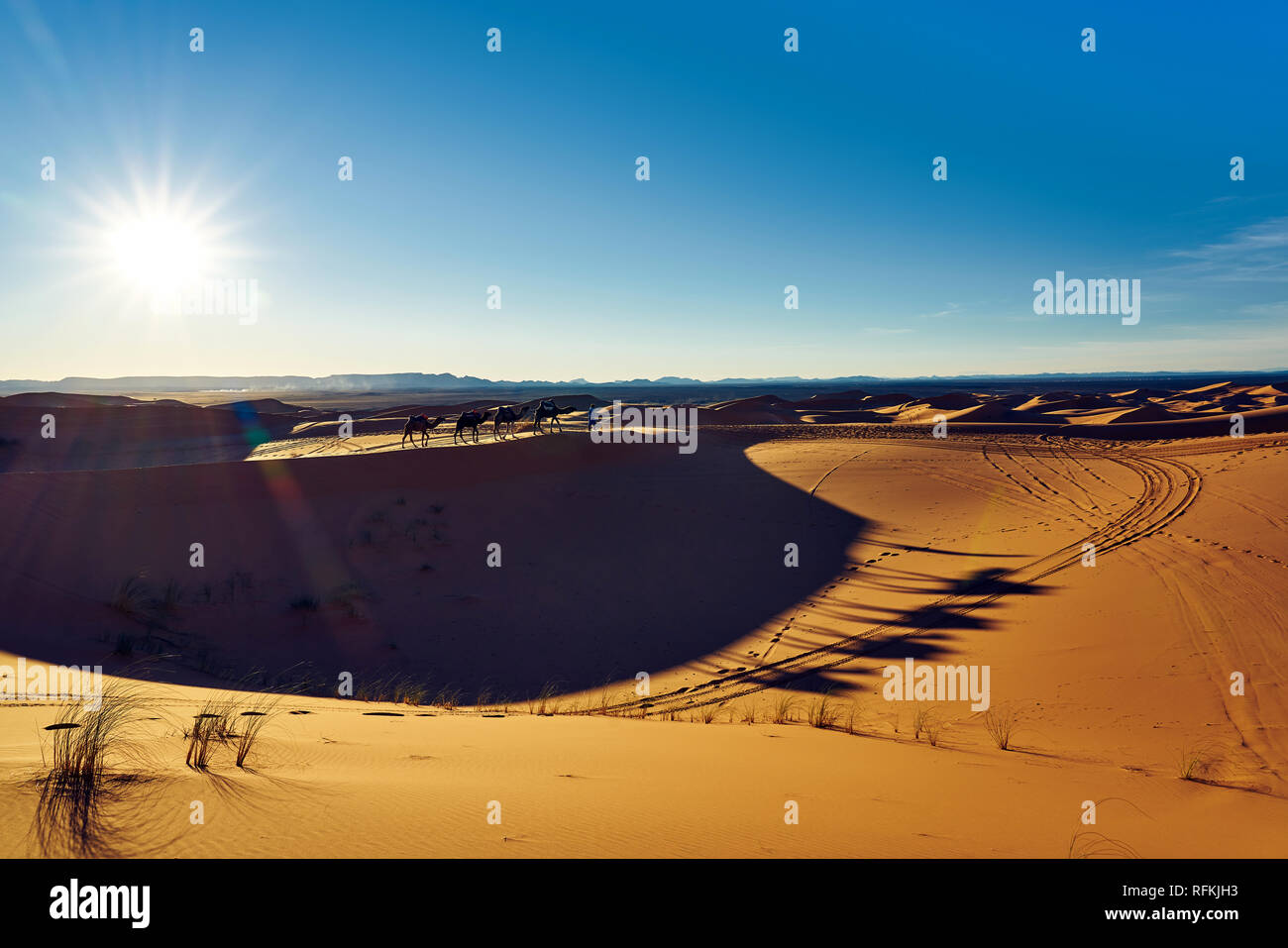 Kamelkarawane und Schatten in der Wüste Erg Chebbi, in der Nähe der Stadt Merzouga, Wüste Sahara, Marokko Stockfoto