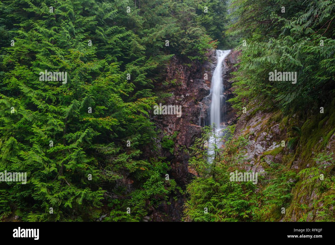 Norvan fällt ist eine beliebte Wanderung in North Vancouver's Lynn Headwaters Regional Park. Stockfoto