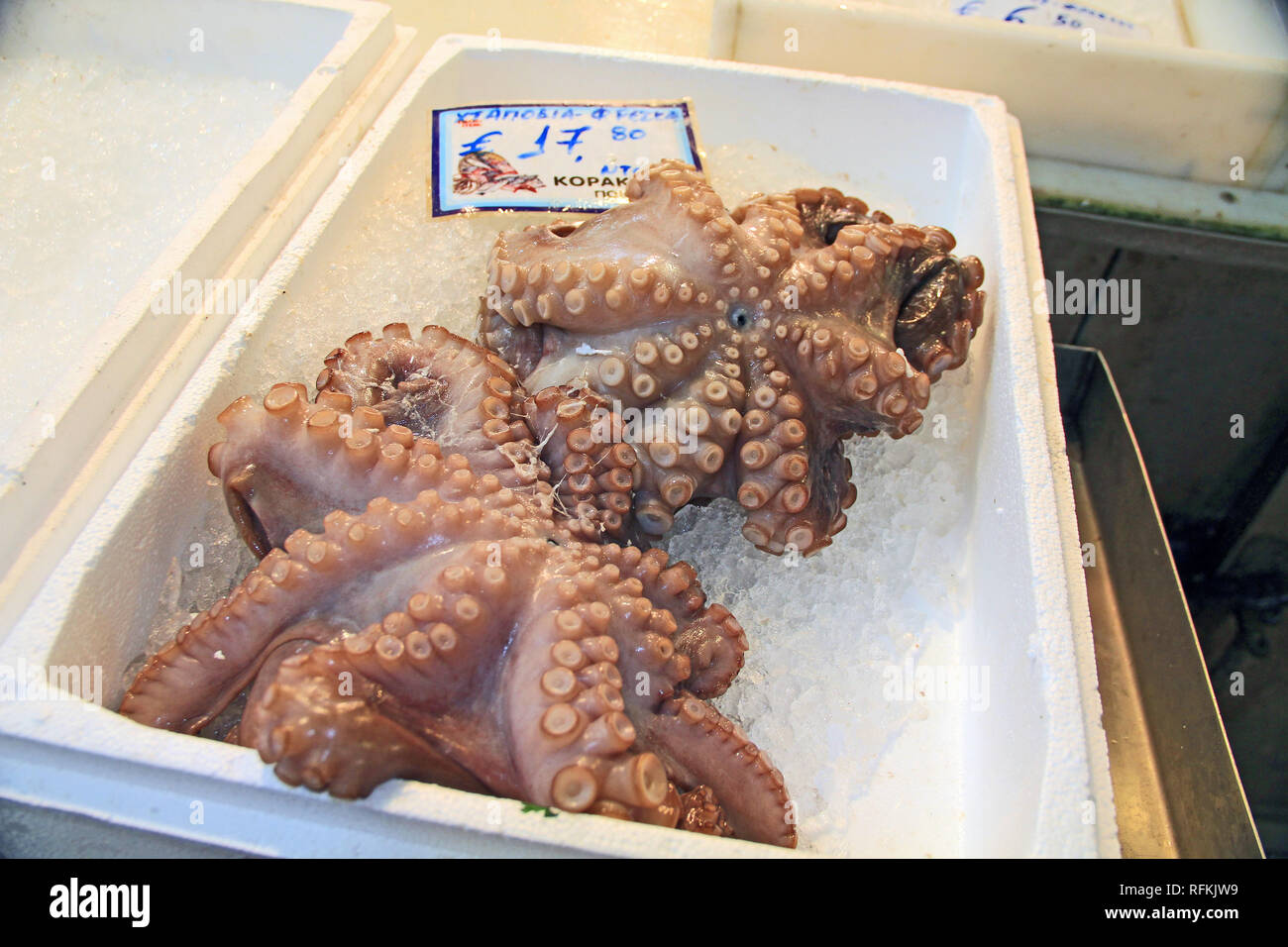Octopus in Fleisch Markt in der Innenstadt von Athen, Griechenland Stockfoto