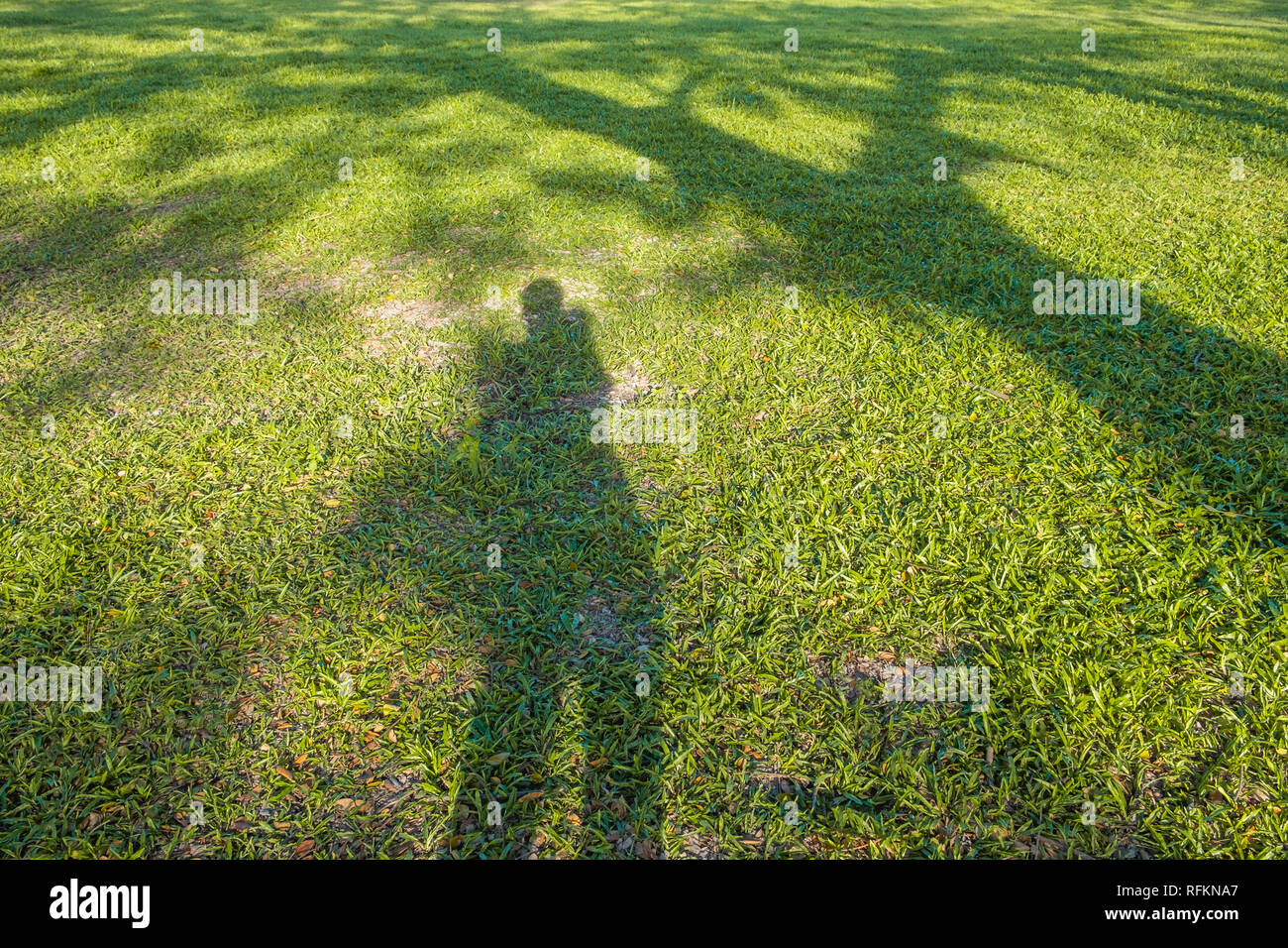 Silhouetten Schatten von einer Person, die auf Gras. Stockfoto