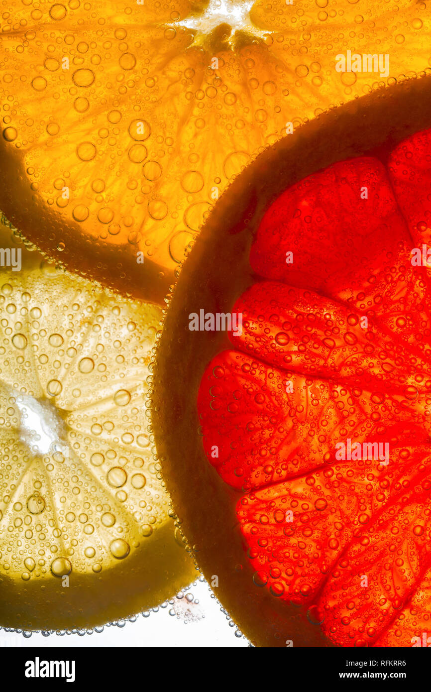 Scheiben von Orange, Zitrone und Grapefruit liegen in Wasser mit Luft gefüllt Stockfoto