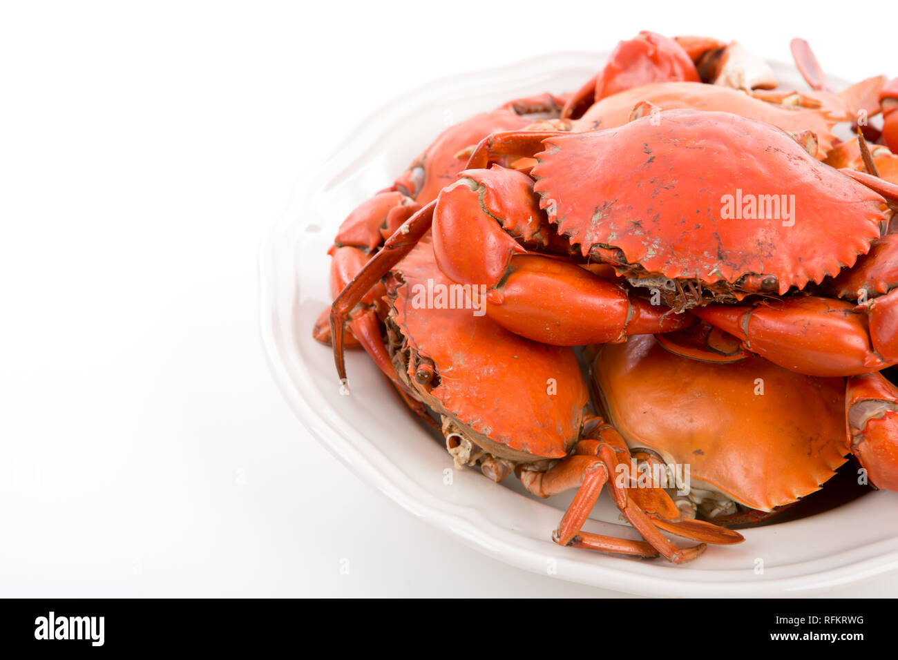 Gedämpfte Krabben auf weißen Teller Stockfoto