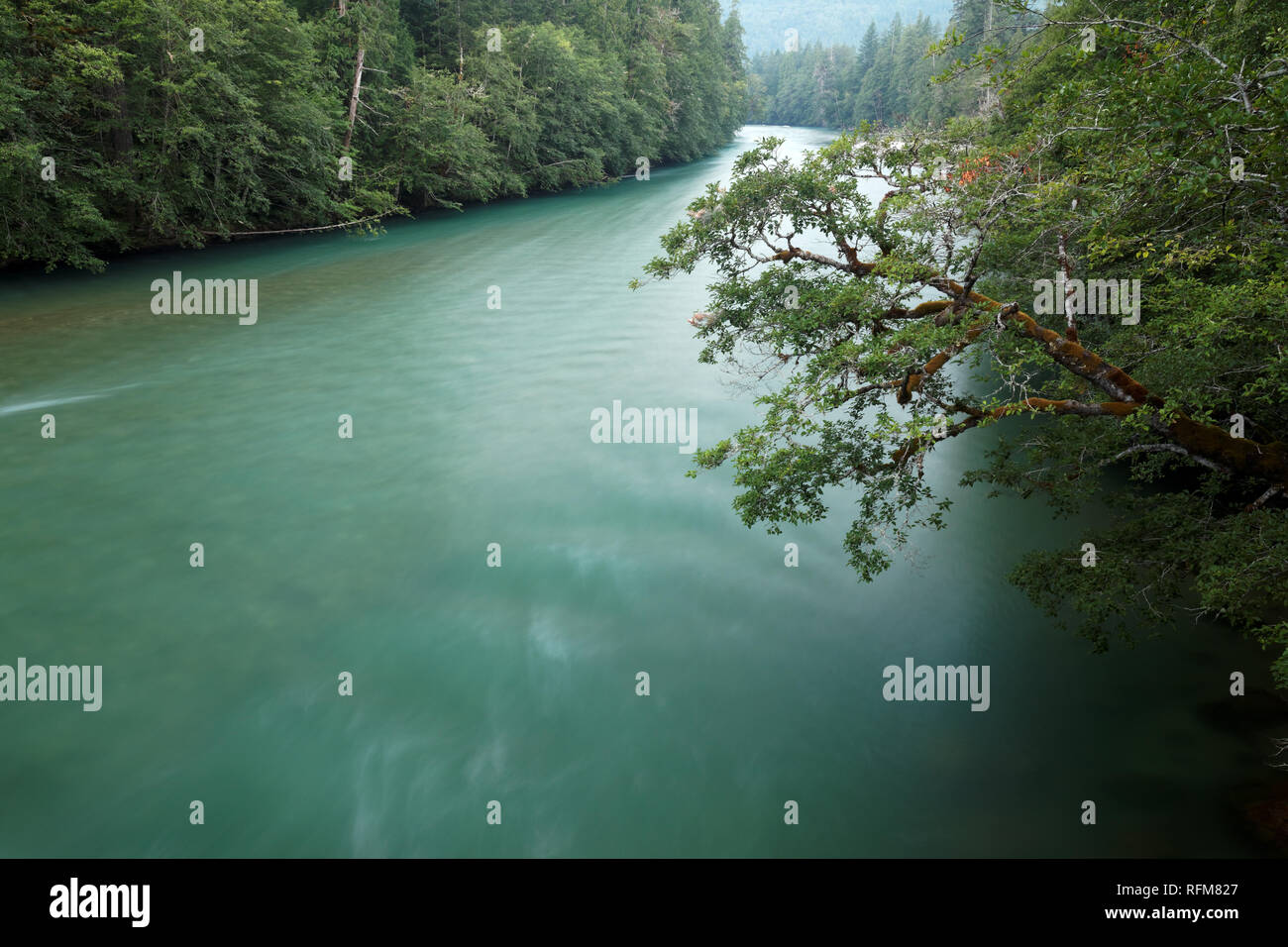 Skagit River Newhalem, Nord, Kaskaden, Washington State, USA Stockfoto