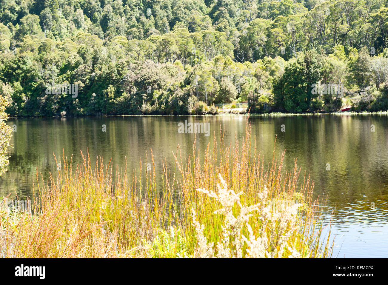 Corinna Fähre, Tasmanien, Australien Stockfoto