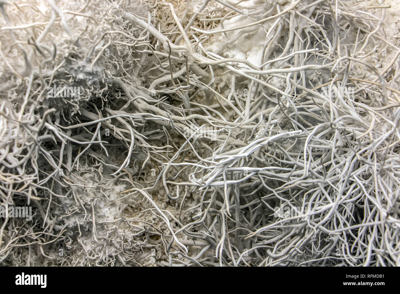 Weiß Aragonit mit vielen Threads, in der Nähe Stockfoto