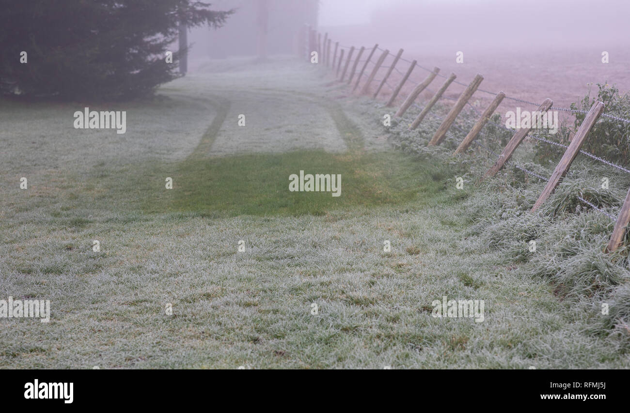 Geschmolzene Stelle, wo ein Fahrzeug hinter An einem frostigen Morgen im Winter verlassen hat. Stockfoto