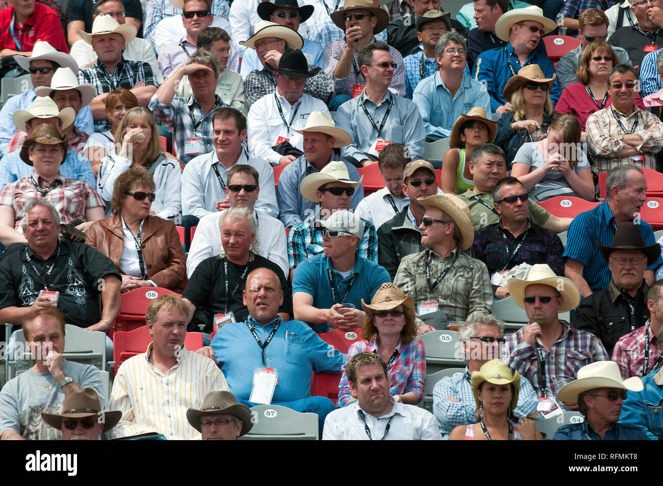 Zuschauer Rodeo in Calgary Stampede Show, Calgary, Alberta, Kanada beobachten Stockfoto
