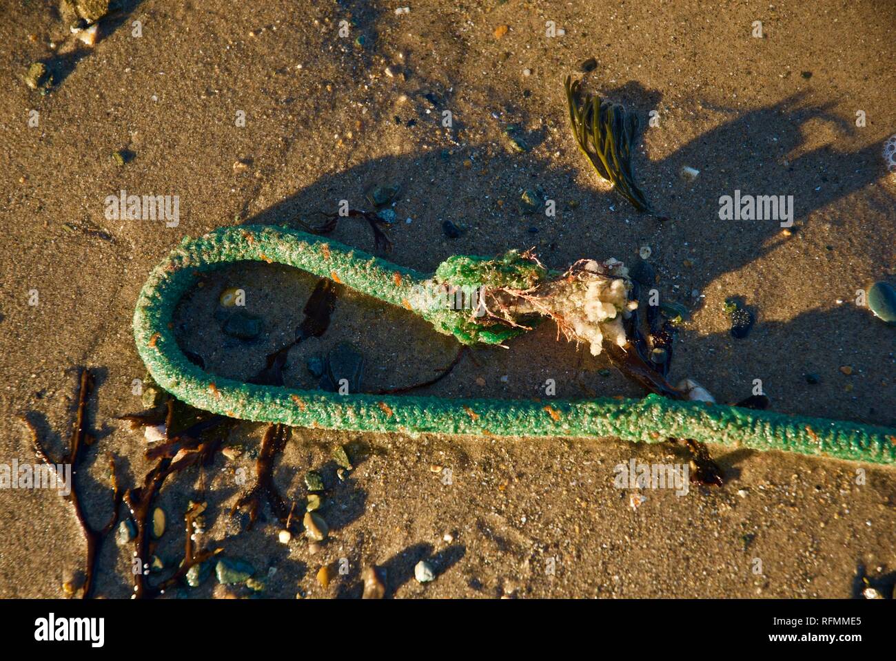 Kunststoff Seil Abfall und Verschmutzung gewaschen oben auf einem Strand in Rhosneigr, Anglesey, North Wales, UK Stockfoto