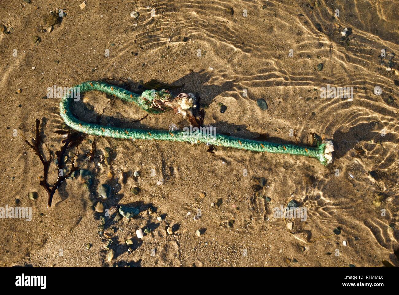 Kunststoff Seil Abfall und Verschmutzung gewaschen oben auf einem Strand in Rhosneigr, Anglesey, North Wales, UK Stockfoto