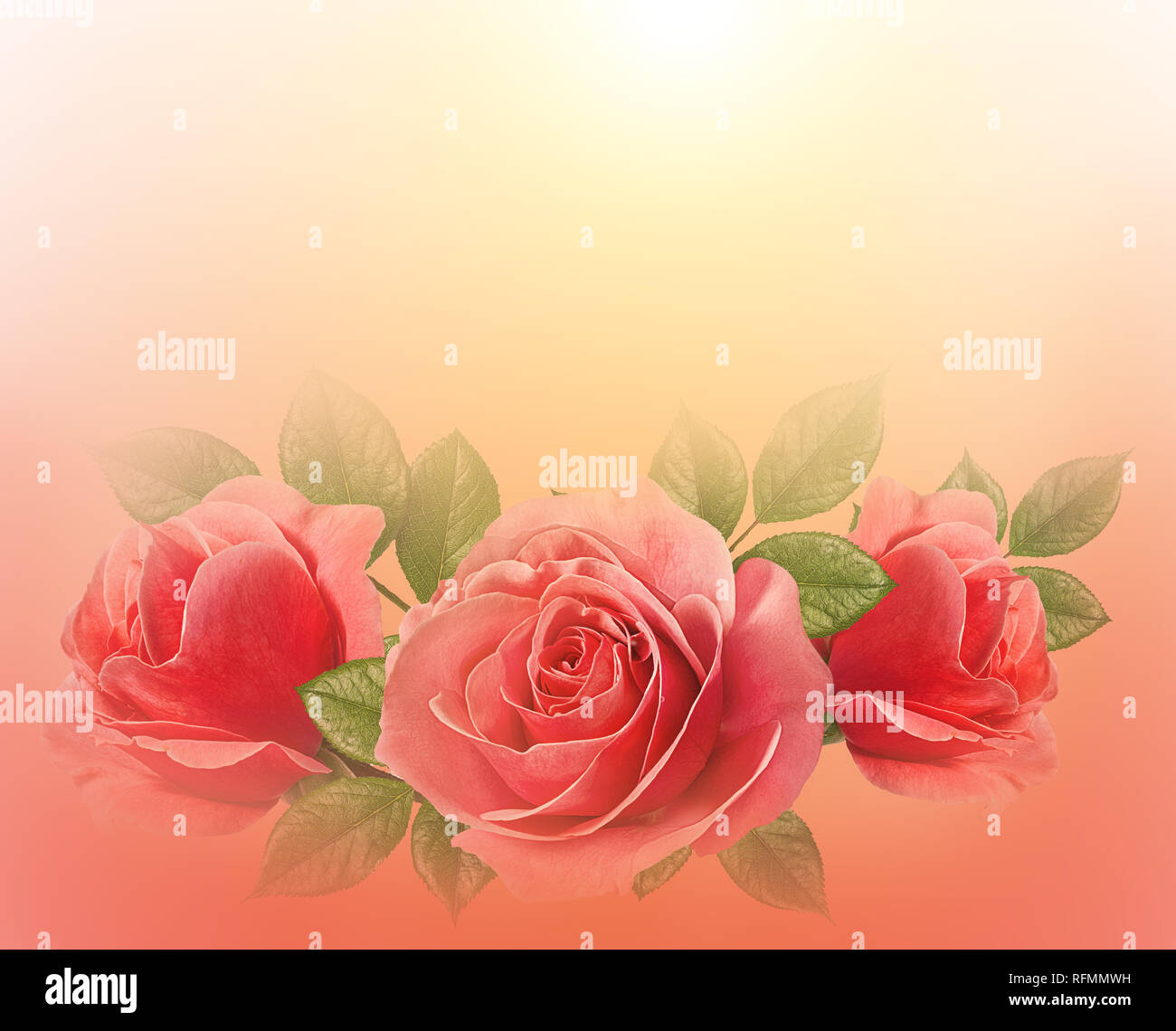 Rosen Kunst Design. Valentine's Hintergrund mit Rosen. Valentines Tag Karte Konzept. Stockfoto